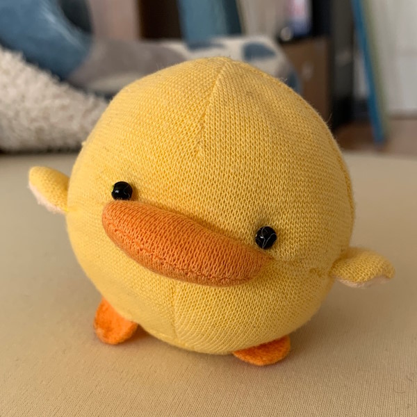 piyoの画像